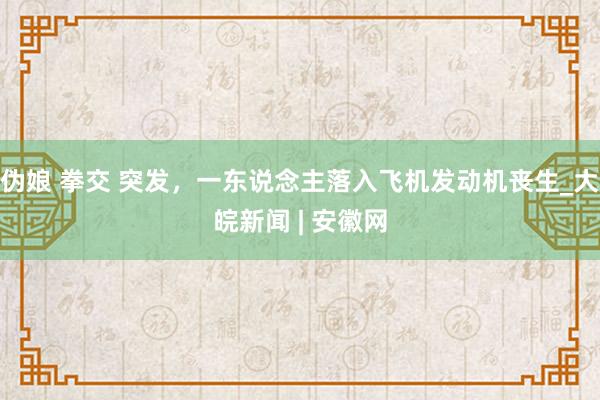 伪娘 拳交 突发，一东说念主落入飞机发动机丧生_大皖新闻 | 安徽网