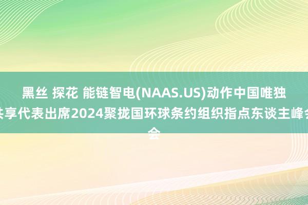 黑丝 探花 能链智电(NAAS.US)动作中国唯独共享代表出席2024聚拢国环球条约组织指点东谈主峰会
