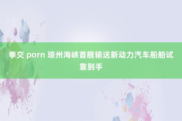 拳交 porn 琼州海峡首艘输送新动力汽车船舶试靠到手