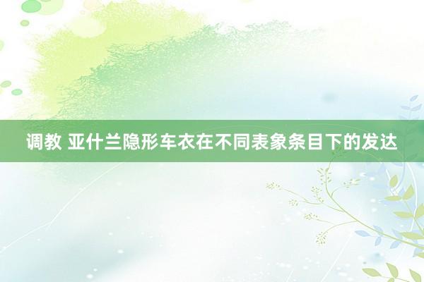 调教 亚什兰隐形车衣在不同表象条目下的发达