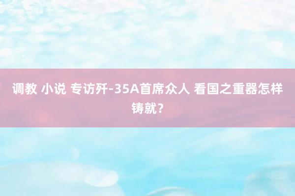 调教 小说 专访歼-35A首席众人 看国之重器怎样铸就？