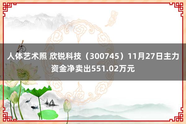 人体艺术照 欣锐科技（300745）11月27日主力资金净卖出551.02万元