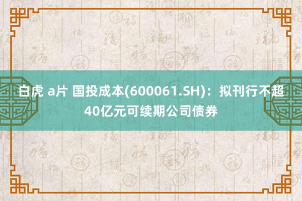白虎 a片 国投成本(600061.SH)：拟刊行不超40亿元可续期公司债券