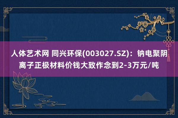 人体艺术网 同兴环保(003027.SZ)：钠电聚阴离子正极材料价钱大致作念到2-3万元/吨