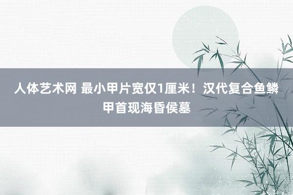 人体艺术网 最小甲片宽仅1厘米！汉代复合鱼鳞甲首现海昏侯墓