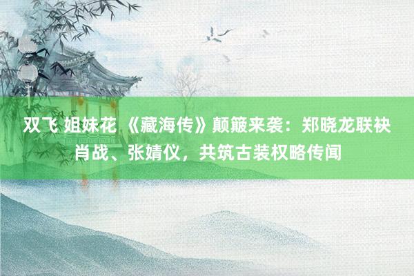 双飞 姐妹花 《藏海传》颠簸来袭：郑晓龙联袂肖战、张婧仪，共筑古装权略传闻