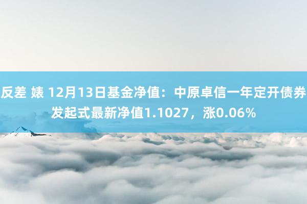 反差 婊 12月13日基金净值：中原卓信一年定开债券发起式最新净值1.1027，涨0.06%