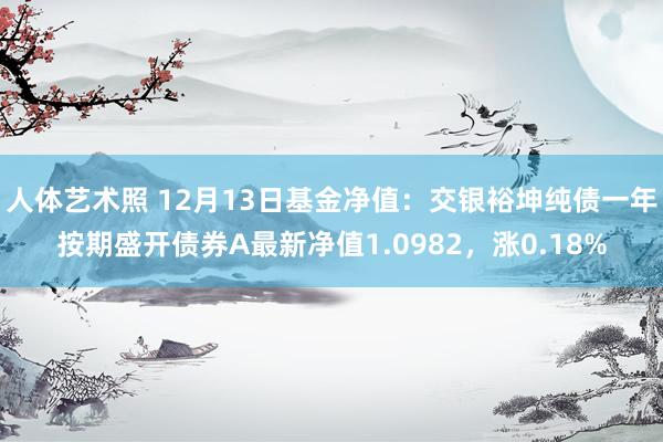 人体艺术照 12月13日基金净值：交银裕坤纯债一年按期盛开债券A最新净值1.0982，涨0.18%
