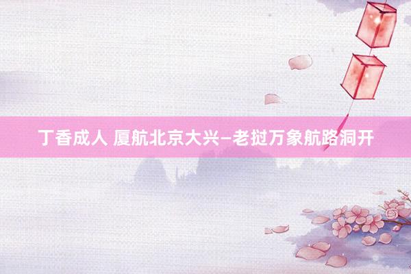 丁香成人 厦航北京大兴—老挝万象航路洞开