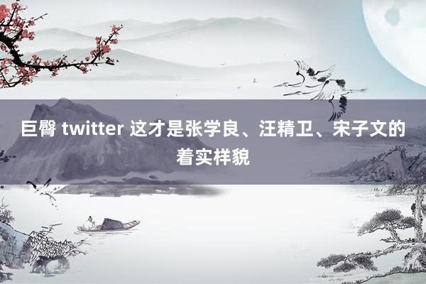 巨臀 twitter 这才是张学良、汪精卫、宋子文的着实样貌