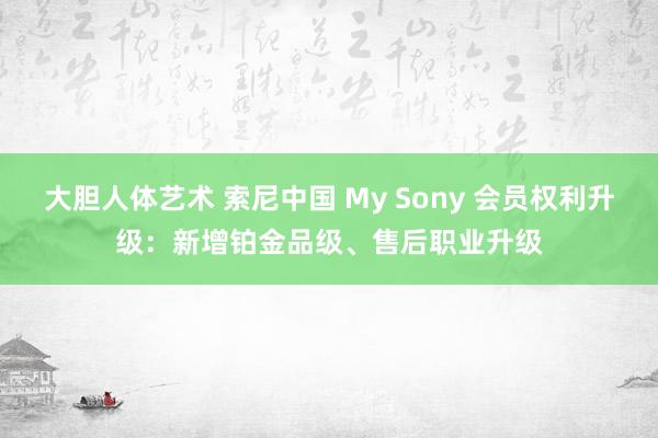 大胆人体艺术 索尼中国 My Sony 会员权利升级：新增铂金品级、售后职业升级