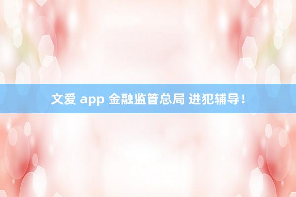 文爱 app 金融监管总局 进犯辅导！