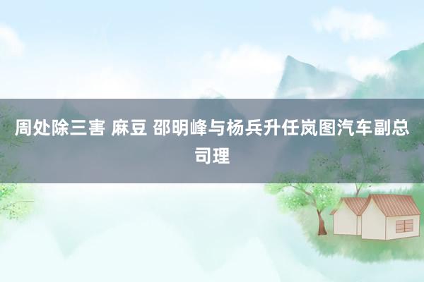 周处除三害 麻豆 邵明峰与杨兵升任岚图汽车副总司理
