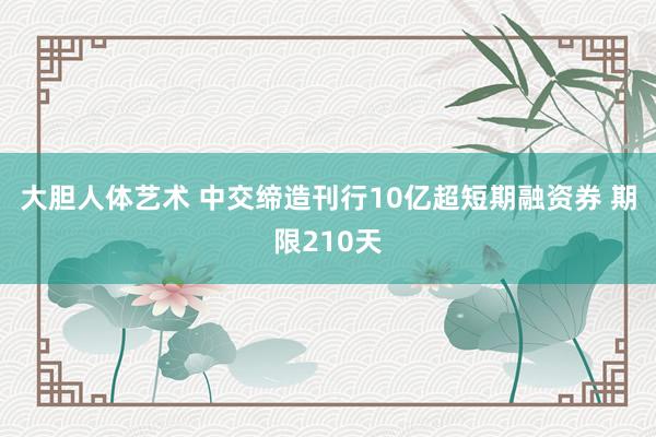 大胆人体艺术 中交缔造刊行10亿超短期融资券 期限210天