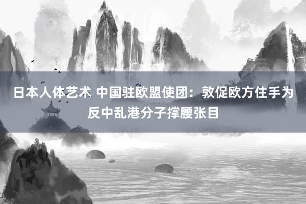 日本人体艺术 中国驻欧盟使团：敦促欧方住手为反中乱港分子撑腰张目