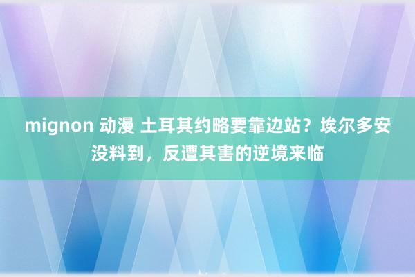 mignon 动漫 土耳其约略要靠边站？埃尔多安没料到，反遭其害的逆境来临