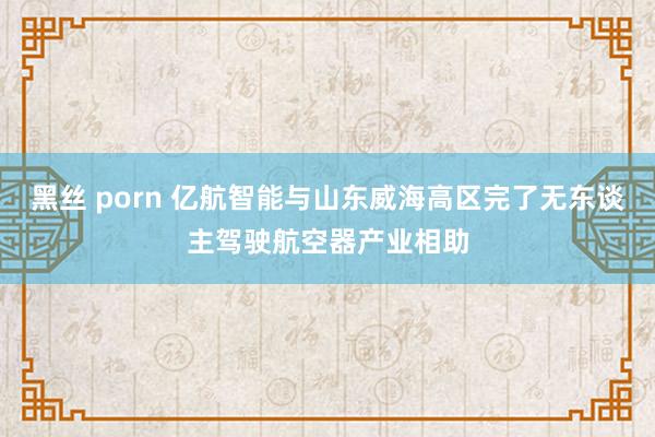 黑丝 porn 亿航智能与山东威海高区完了无东谈主驾驶航空器产业相助