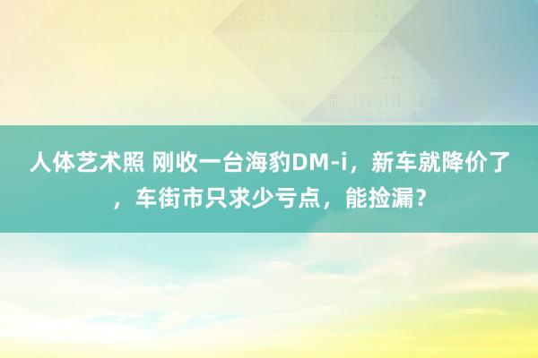 人体艺术照 刚收一台海豹DM-i，新车就降价了，车街市只求少亏点，能捡漏？