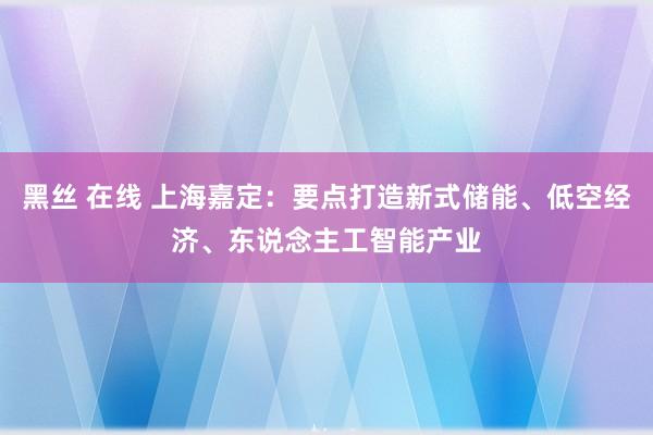 黑丝 在线 上海嘉定：要点打造新式储能、低空经济、东说念主工智能产业