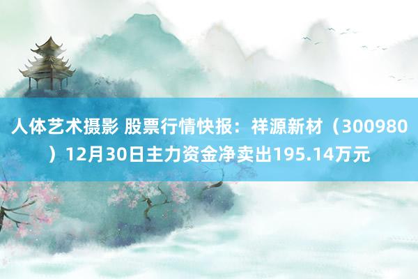 人体艺术摄影 股票行情快报：祥源新材（300980）12月30日主力资金净卖出195.14万元