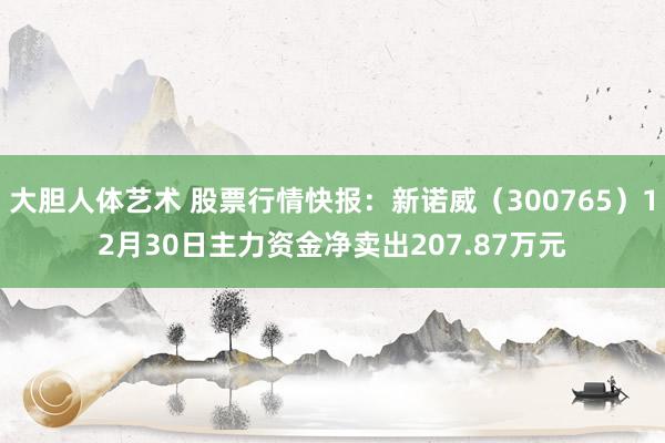 大胆人体艺术 股票行情快报：新诺威（300765）12月30日主力资金净卖出207.87万元