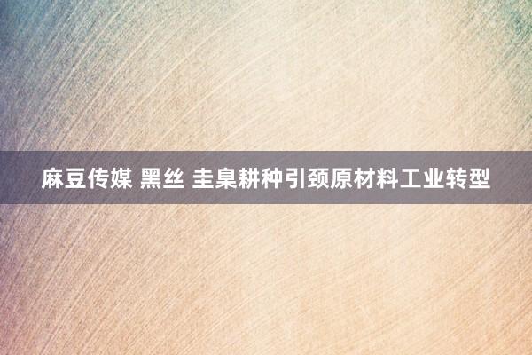 麻豆传媒 黑丝 圭臬耕种引颈原材料工业转型
