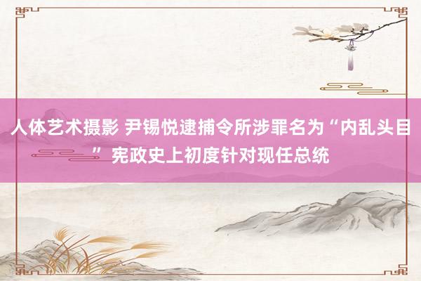 人体艺术摄影 尹锡悦逮捕令所涉罪名为“内乱头目” 宪政史上初度针对现任总统