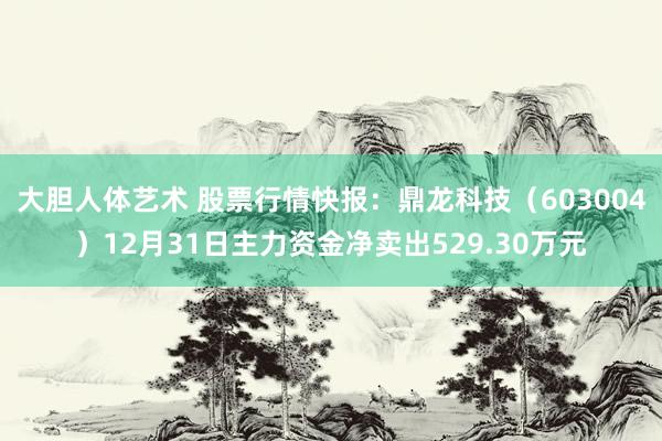 大胆人体艺术 股票行情快报：鼎龙科技（603004）12月31日主力资金净卖出529.30万元