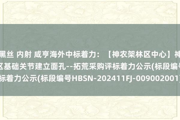 黑丝 内射 咸亨海外中标着力：【神农架林区中心】神农架盘水生态产业园区基础关节建立面孔--拓荒采购评标着力公示(标段编号HBSN-202411FJ-009002001)