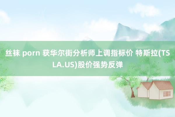 丝袜 porn 获华尔街分析师上调指标价 特斯拉(TSLA.US)股价强势反弹