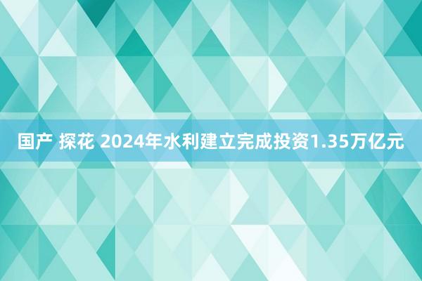 国产 探花 2024年水利建立完成投资1.35万亿元