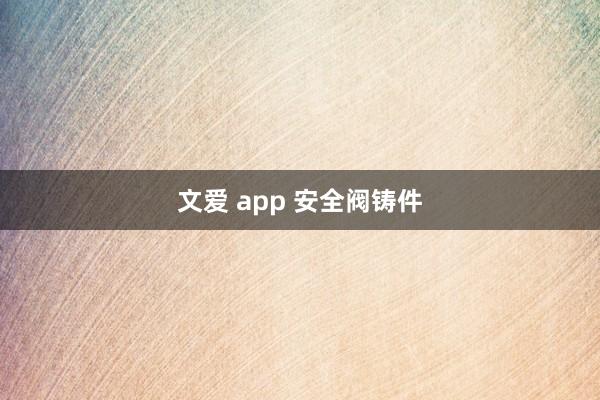 文爱 app 安全阀铸件