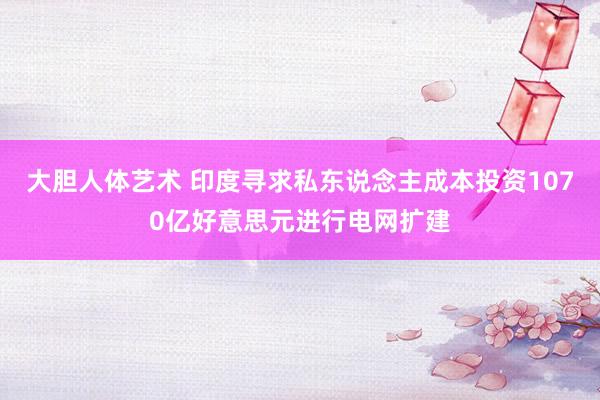 大胆人体艺术 印度寻求私东说念主成本投资1070亿好意思元进行电网扩建