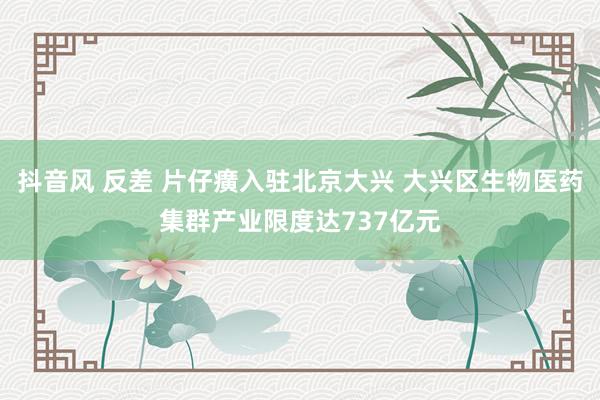 抖音风 反差 片仔癀入驻北京大兴 大兴区生物医药集群产业限度达737亿元