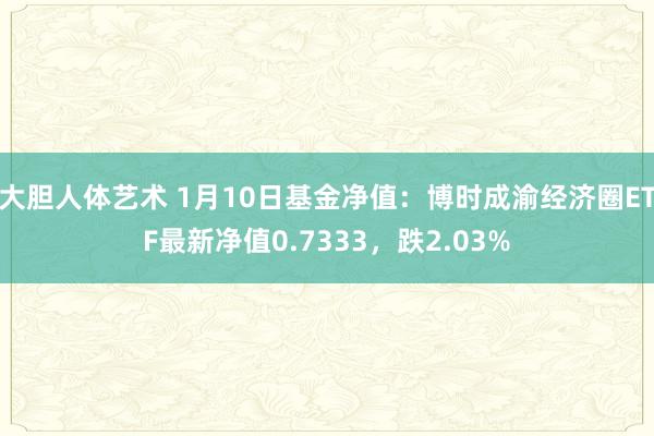 大胆人体艺术 1月10日基金净值：博时成渝经济圈ETF最新净值0.7333，跌2.03%
