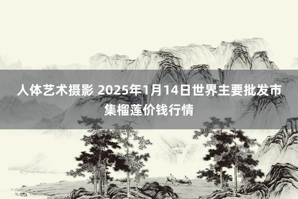 人体艺术摄影 2025年1月14日世界主要批发市集榴莲价钱行情
