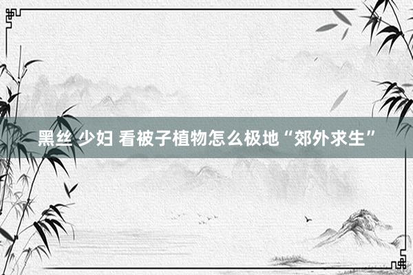 黑丝 少妇 看被子植物怎么极地“郊外求生”