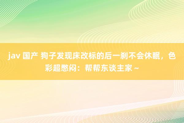 jav 国产 狗子发现床改标的后一刹不会休眠,色彩超憋闷:帮帮东谈主家~