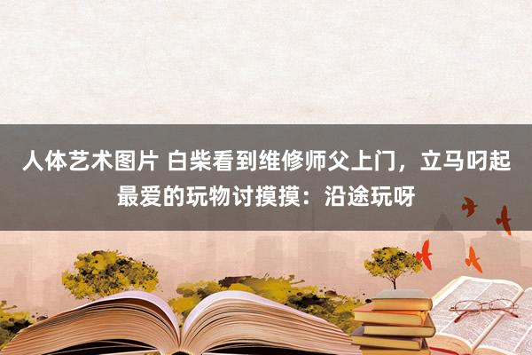 人体艺术图片 白柴看到维修师父上门，立马叼起最爱的玩物讨摸摸：沿途玩呀