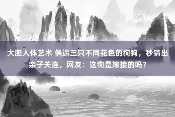 大胆人体艺术 偶遇三只不同花色的狗狗，秒猜出亲子关连，网友：这狗是嫁接的吗？
