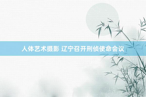 人体艺术摄影 辽宁召开刑侦使命会议