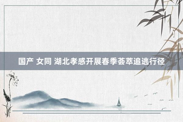 国产 女同 湖北孝感开展春季荟萃追逃行径