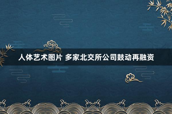 人体艺术图片 多家北交所公司鼓动再融资