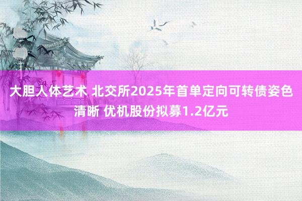 大胆人体艺术 北交所2025年首单定向可转债姿色清晰 优机股份拟募1.2亿元