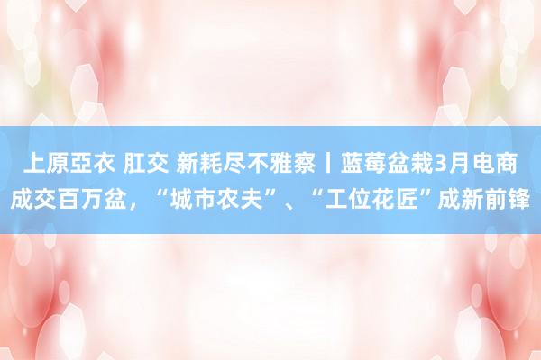 上原亞衣 肛交 新耗尽不雅察丨蓝莓盆栽3月电商成交百万盆，“城市农夫”、“工位花匠”成新前锋