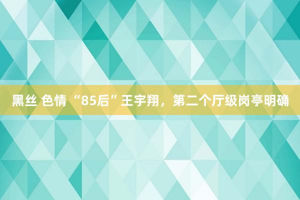 黑丝 色情 “85后”王宇翔，第二个厅级岗亭明确