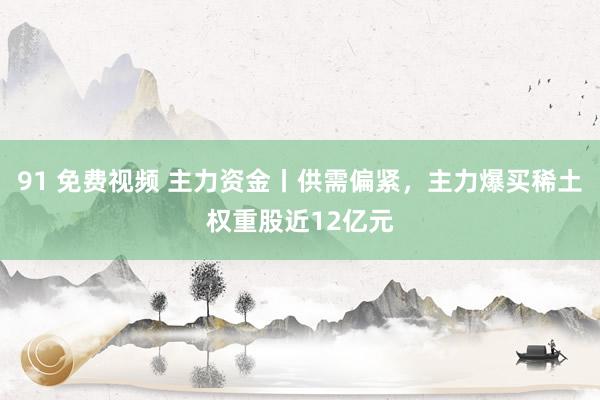 91 免费视频 主力资金丨供需偏紧，主力爆买稀土权重股近12亿元