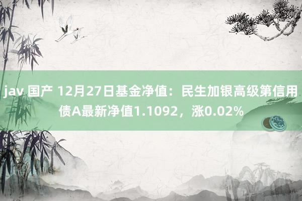 jav 国产 12月27日基金净值：民生加银高级第信用债A最新净值1.1092，涨0.02%