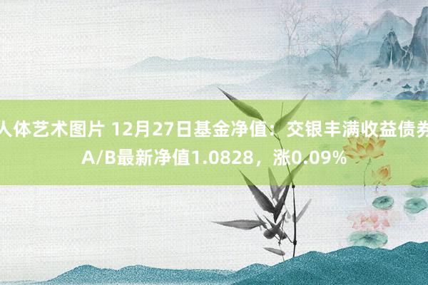 人体艺术图片 12月27日基金净值：交银丰满收益债券A/B最新净值1.0828，涨0.09%