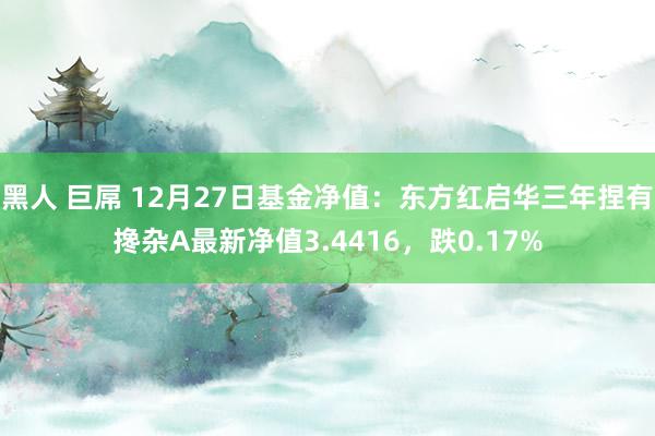 黑人 巨屌 12月27日基金净值：东方红启华三年捏有搀杂A最新净值3.4416，跌0.17%